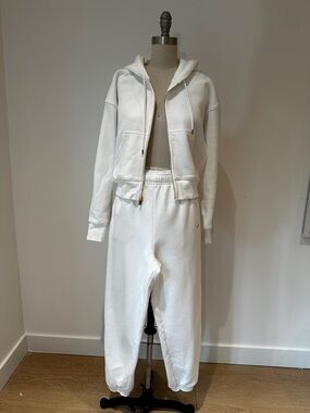 Aritzia Sweatfleece BNWT Women's Hoodie & Jogger Set (Small)